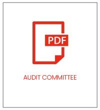 audit-committee